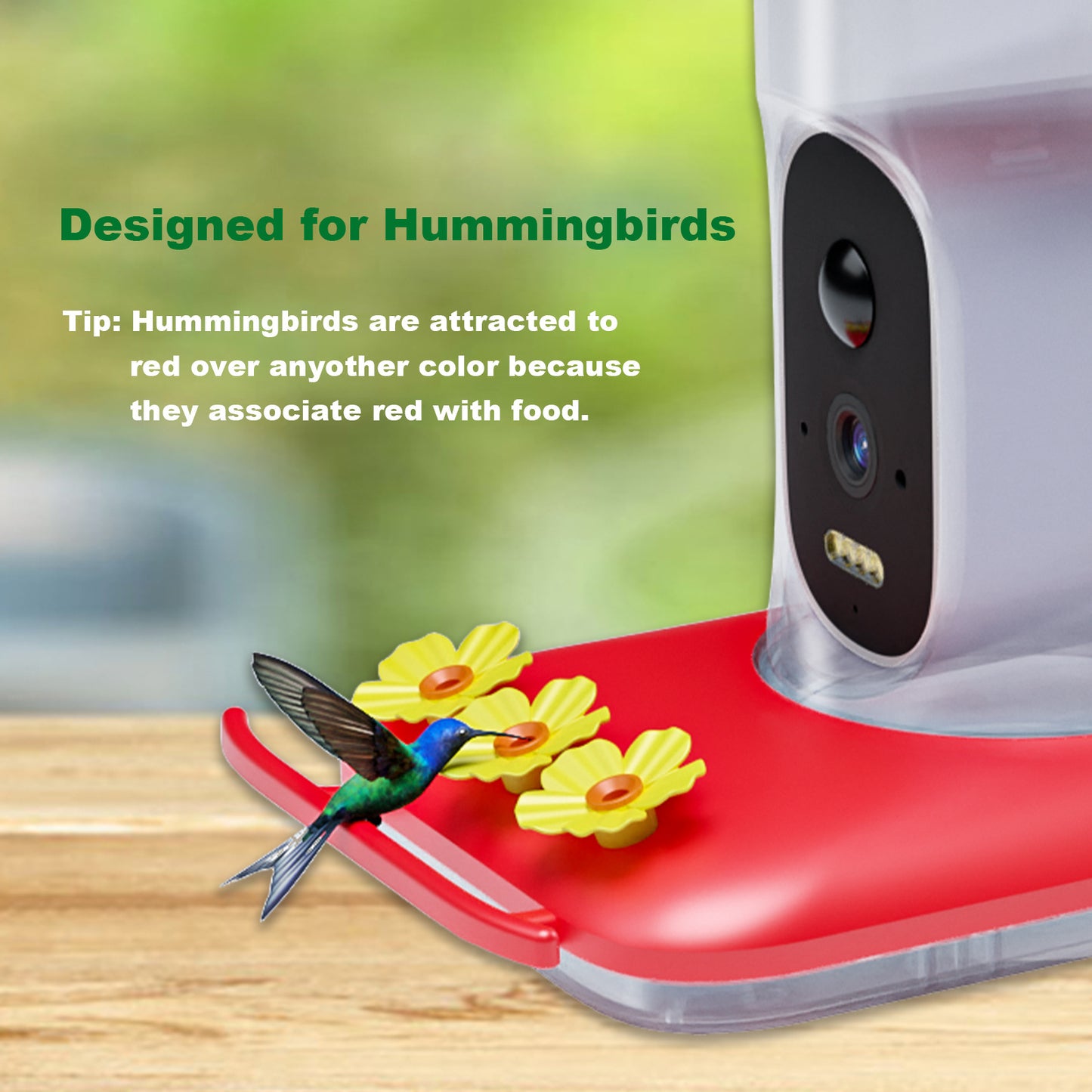 Birdfeeder